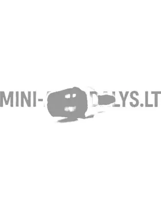 Esiklaasipesuri otsik Ligier