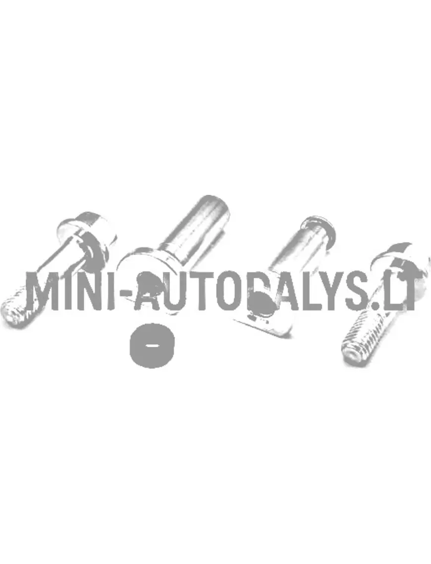 Tagumiste pidurisadulate juhtpindade komplekt Microcar / Ligier