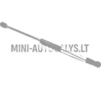 Tagaluugi amortisaator Microcar Dué