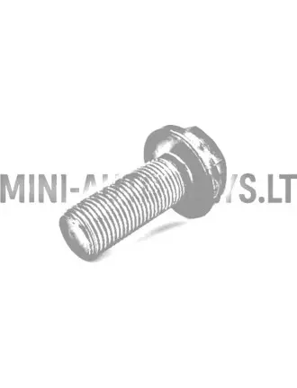 Väntvõlli polt Lombardini 502 FOCS / Progress