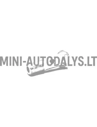 Banjo polt kütusepumbale Lombardini 502 FOCS