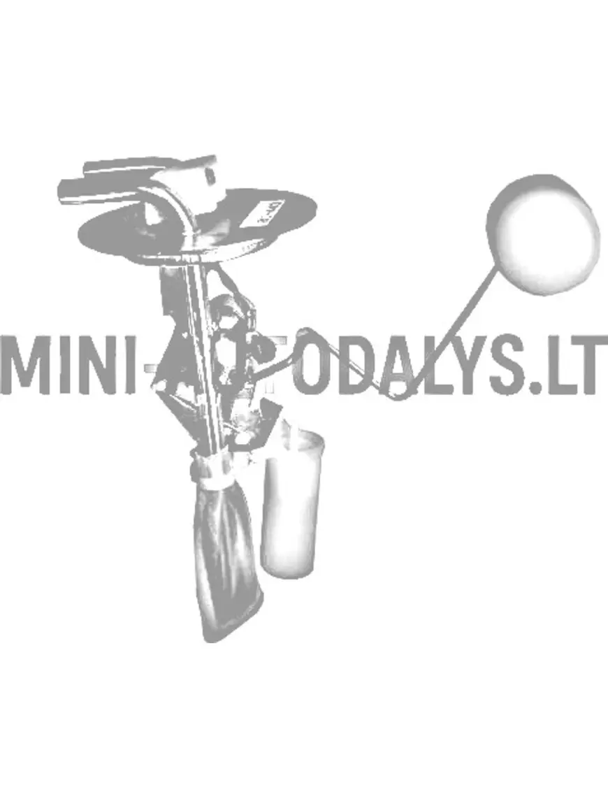 Kütusepaagi ujuk Aixam 2005-2010