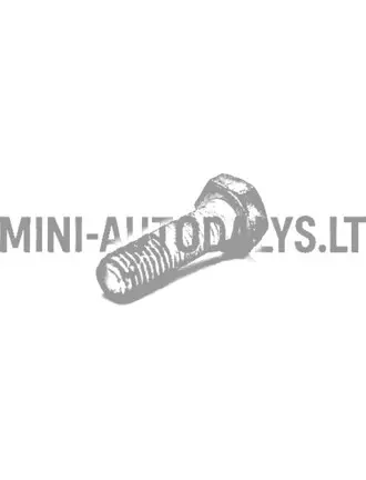 Kinnituspolt käigukasti variaatorile Ligier / Microcar