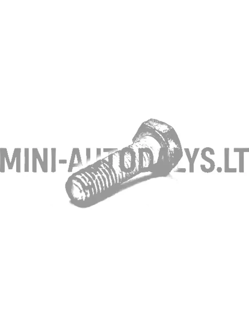 Kinnituspolt käigukasti variaatorile Ligier / Microcar