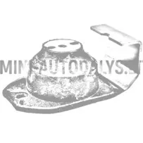 Mootori kummipadi Microcar / Ligier