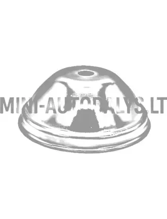 Variomaatiline kate (2. tüübi ühendus)