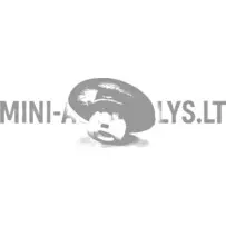 Aixam tagaluugi / tagaklaasi kinnitusmutter