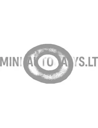 Kummirõnga kinnitusmutter tagaluugi / tagaklaasi jaoks, Aixam