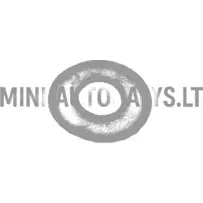 Kummirõnga kinnitusmutter tagaluugi / tagaklaasi jaoks, Aixam