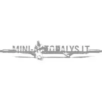 Roolikoda Aixam #17199 | Mini Auto Parts