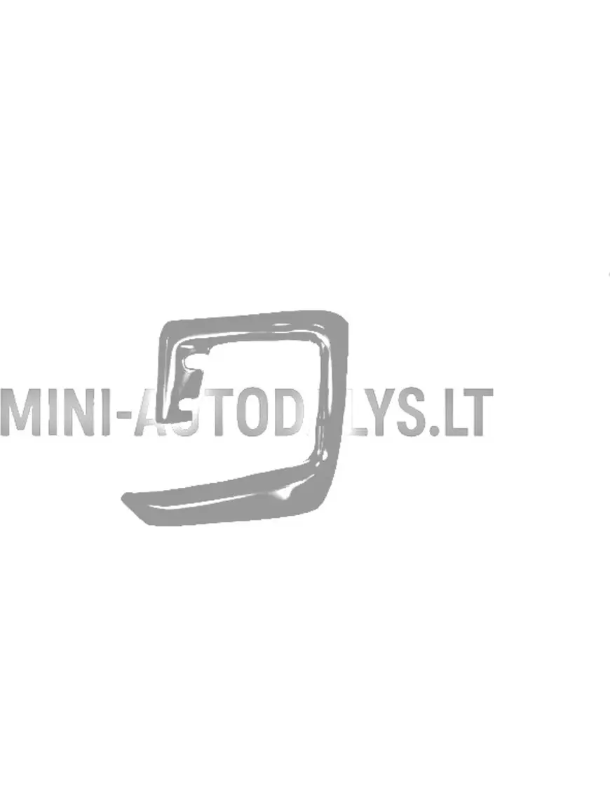 Tagumine parem kaitseraua nurk Ligier JS60 Ultimate MITTEORIGINAALNE