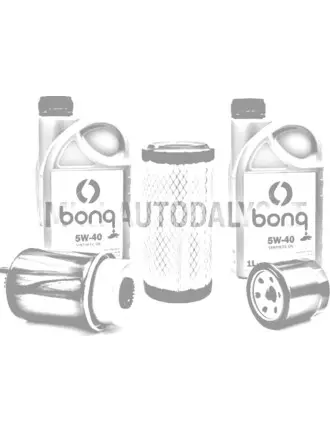 Filtrite komplekt Lombardini 442 / 492 / 480 DCI + 2 liitrit mootoriõli