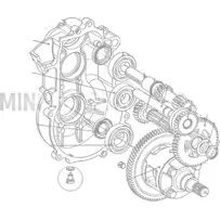 Magnetiline õli väljalaskekork käigukastile Aixam