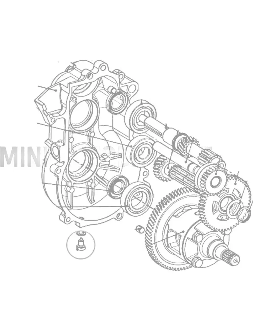 Magnetiline õli väljalaskekork käigukastile Aixam