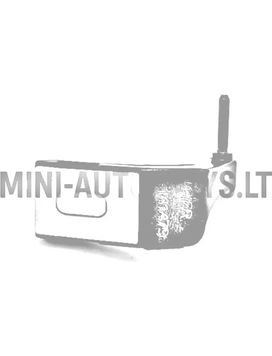 Parempoolne uksehing Microcar / Ligier