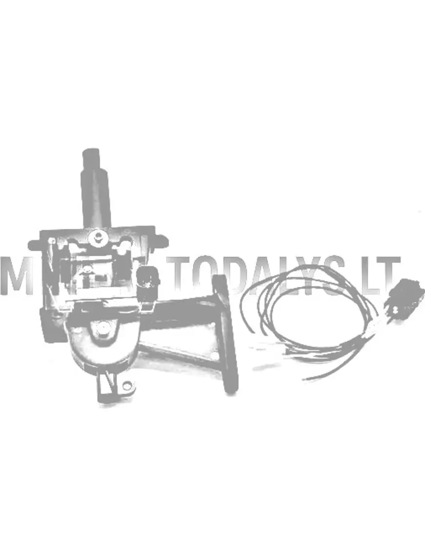 Käiguvahetushoob Microcar / Ligier