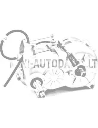 Käigukast Aixam (1:11)