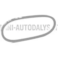 V-kujuline rihm Lombardini 442 / 480 / 492 DCI (10x665 mm)