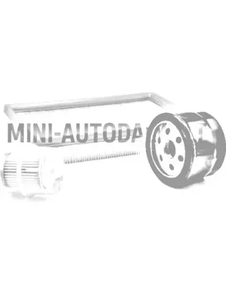 Filtrite komplekt Lombardini 502 FOCS