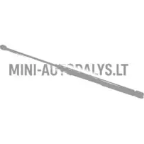 Tagaluugi amortisaator Aixam Coupé Sensation / Emotion