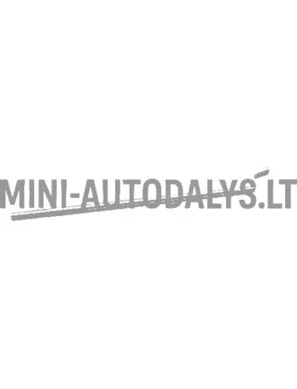 Aixam D-Truck kapoti kaitse