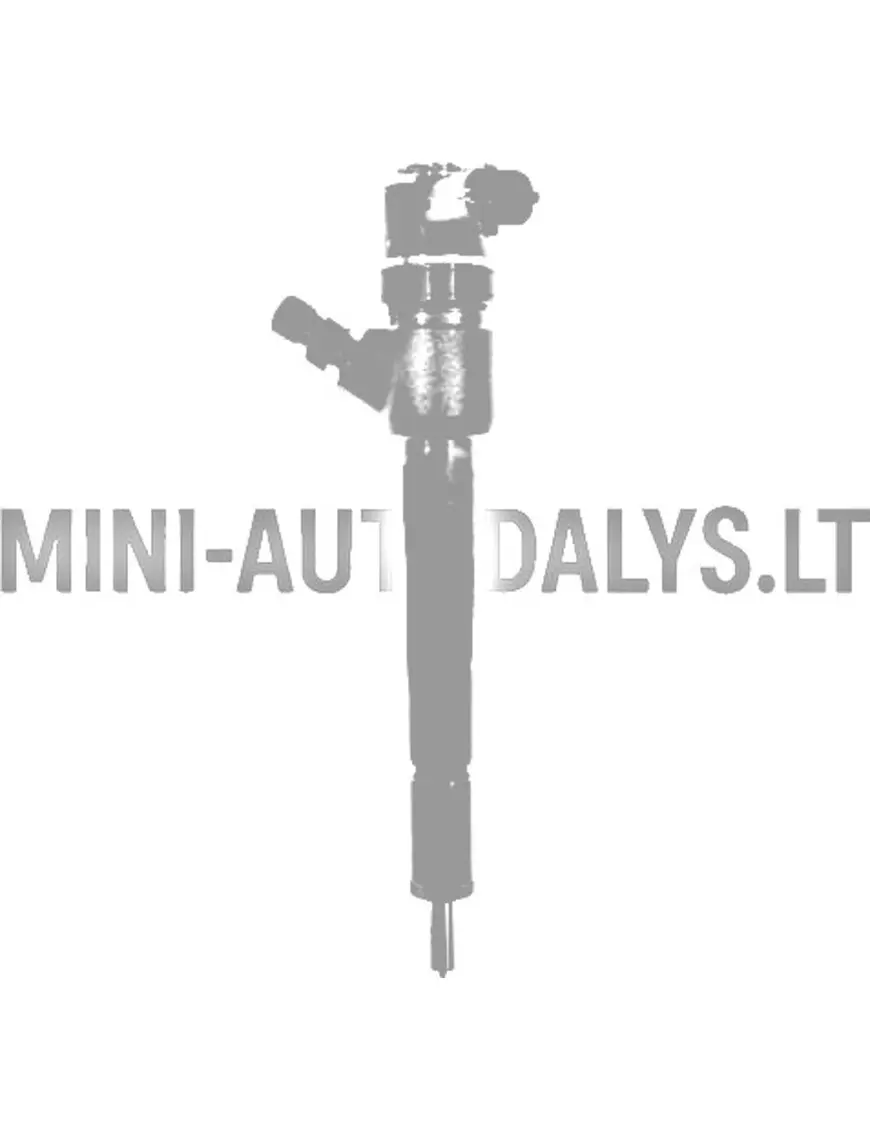 Injektor Lombardini DCI 442 / 492 / 480