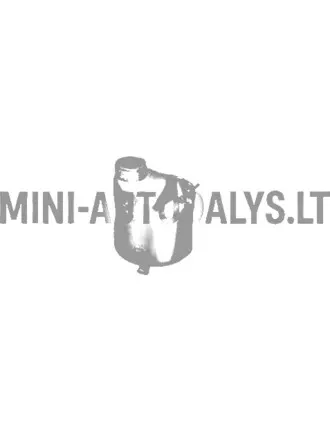 Jahutusvedeliku paisupaak Aixam Vizija / Pojūtis / Emocija / Ambicija