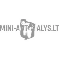 Jahutusvedeliku paisupaak Aixam Vizija / Pojūtis / Emocija / Ambicija