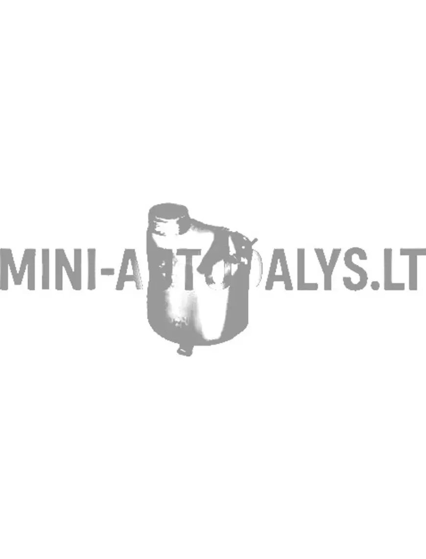 Jahutusvedeliku paisupaak Aixam Vizija / Pojūtis / Emocija / Ambicija