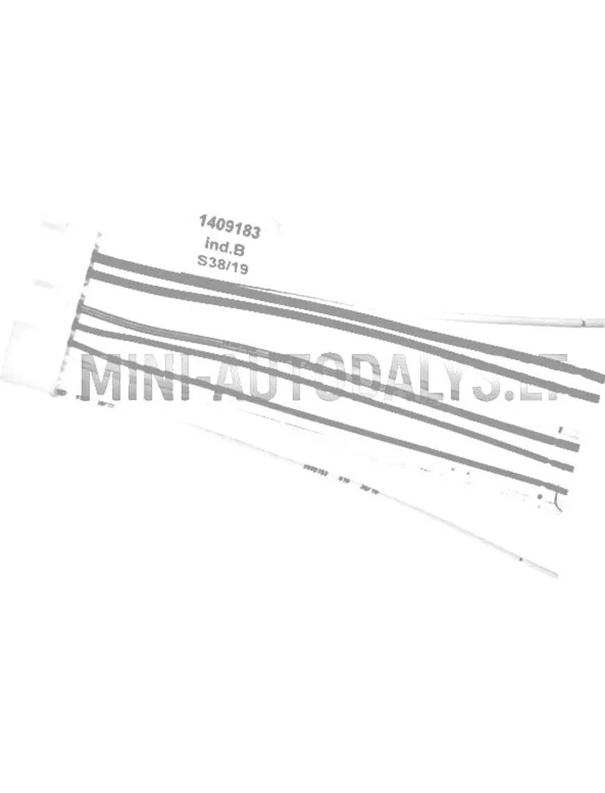 Keskse lukustuse vastuvõtja juhtmed Ligier