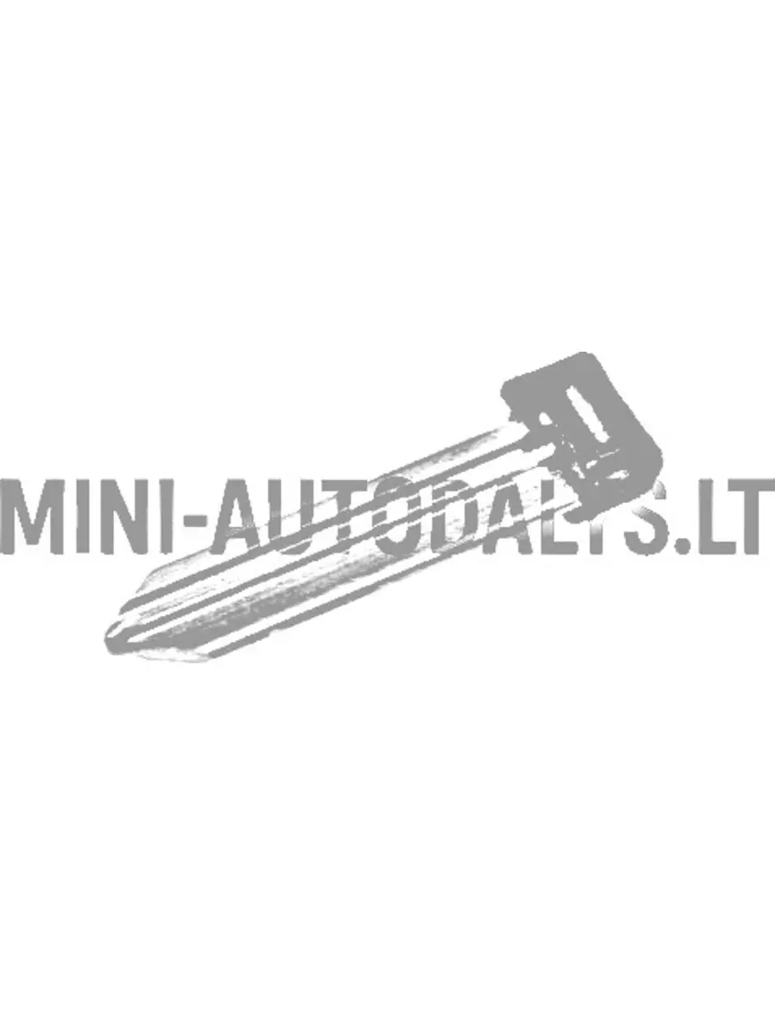 Tühi võtmetihvt Aixam / Ligier