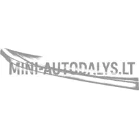 Dekoratiivne kroomliist paremal Aixam Emotion