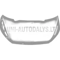 Aixam Sensation mootorikatte välimine paneel (punane)