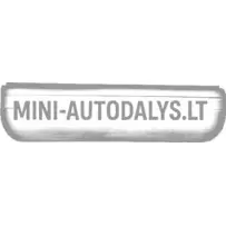 Tagaluugi paneel Aixam 500.4