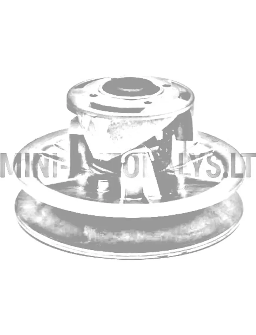 Vario sidur kasti pool Ligier Ambra