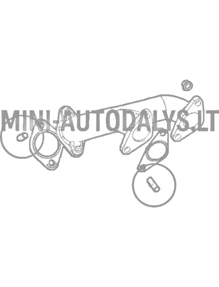 Väljalaskekollektori tikkpolt Lombardini DCI