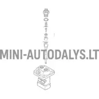 Yanmar kütuse sissepritseklapp