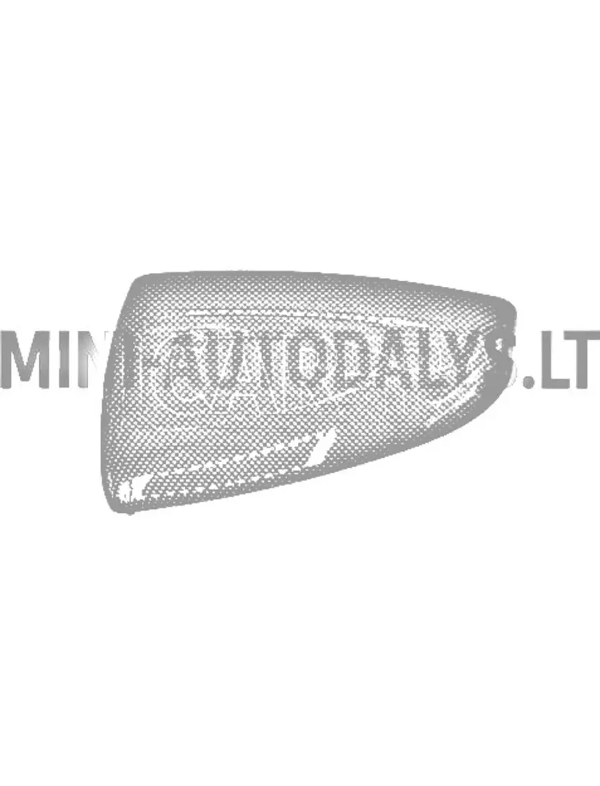 Peeglikate vasakpoolsele välisele peeglile Aixam Sensation / Emotion / Ambition (Carbon)