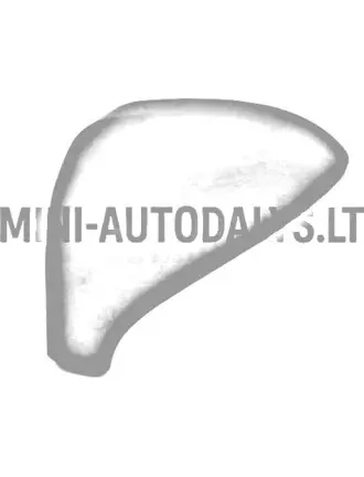 Peeglikate Vasakpoolne välispeegel JDM Aloes / Roxsy