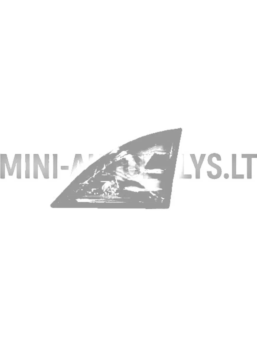 Tagumise tule nurk, parem tagumine Aixam Vision