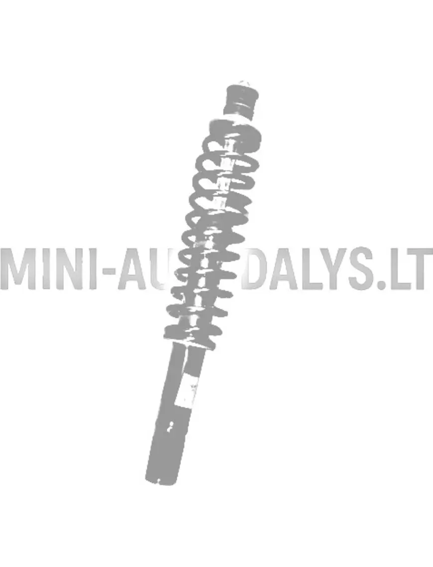 Esimene amortisaator Chatenet Barooder Sport