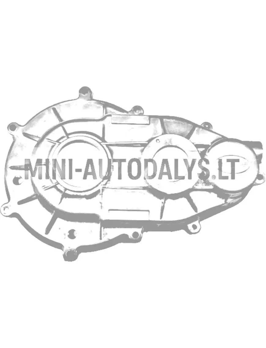 Käigukasti pool Microcar MGO