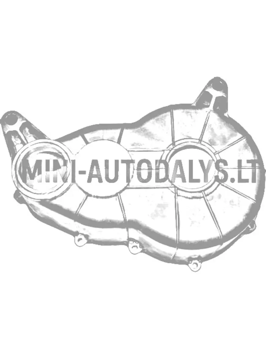 Käigukasti poolne sisendvõll Microcar