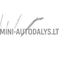 Raami poritiiva toru ees vasakul Aixam D-Truck