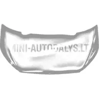 Aixam Sensation mootorikatte välimine paneel (teras hall)