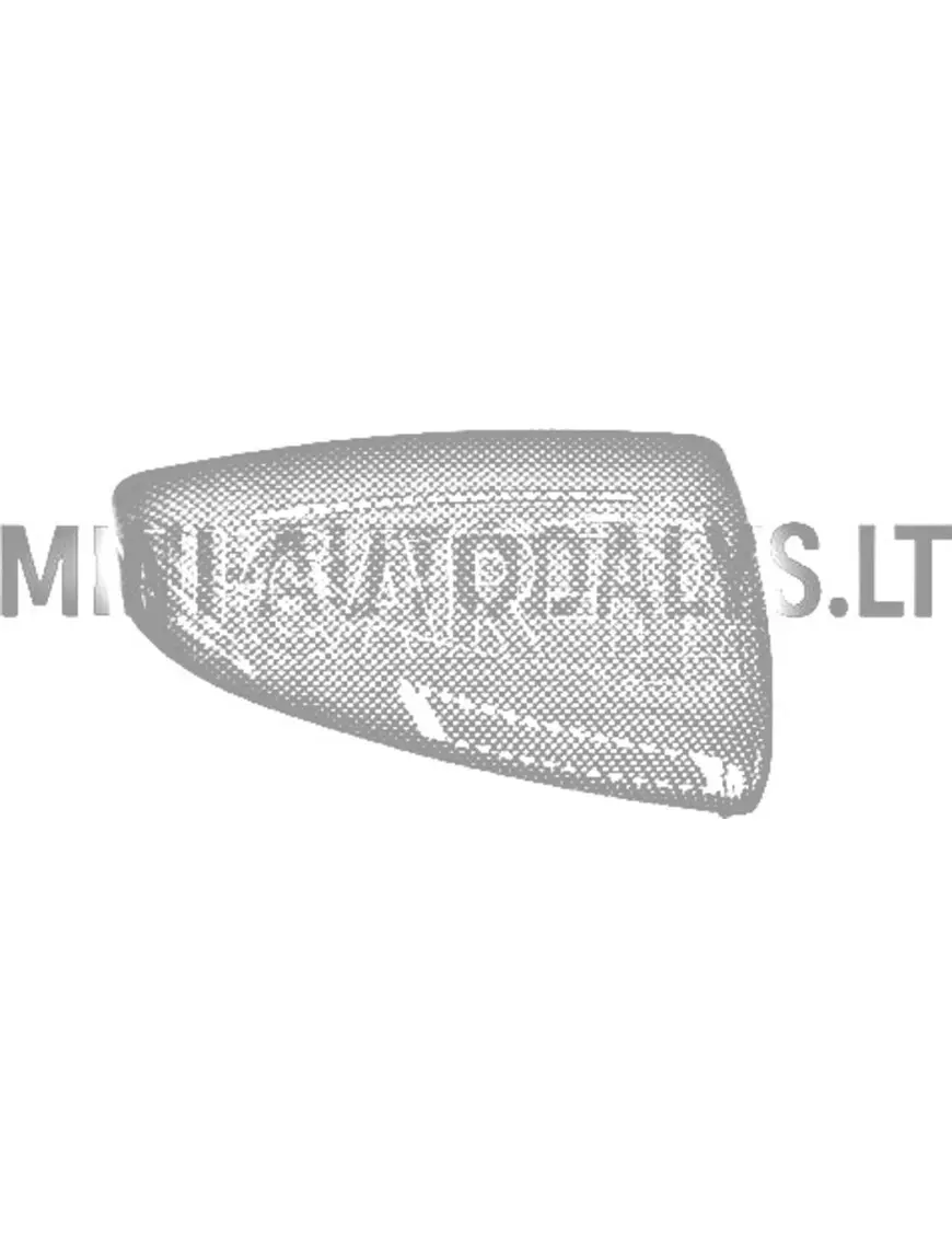 Välispeegli peeglikate Aixam Sensation / Emotion / Ambition (Carbon)