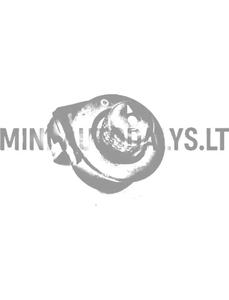 Peegli juhtimine Casalini M14 / M14 2.0 / M20