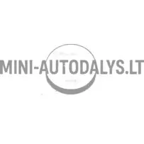 Mikroauto kaugjuhtimispuldi patarei CR 2032 3V