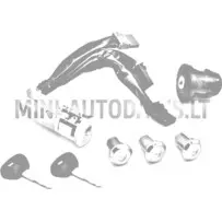 Süütevõtmete komplekt Aixam D-Truck