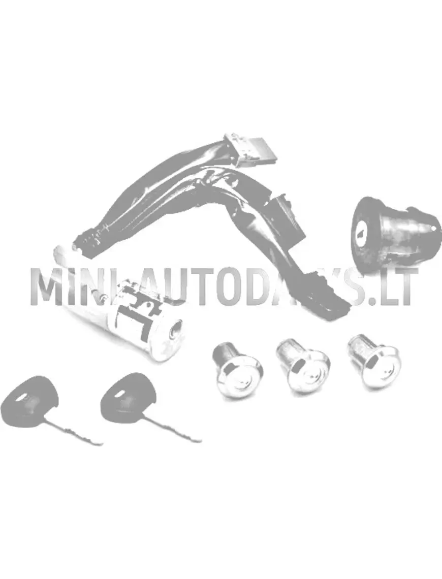 Süütevõtmete komplekt Aixam D-Truck